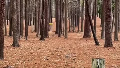 INSANE OVERHAND DISC GOLF ACE