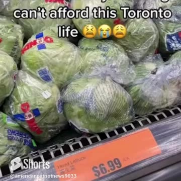 How in the world did we get to the point where lettuce is $7 in Toronto?