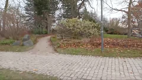 På promenad i stadsparken. Örebro. 22 Nov. 2021