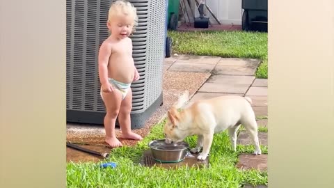 Best video of Cute Babies and Pets - Funny Baby and Pet