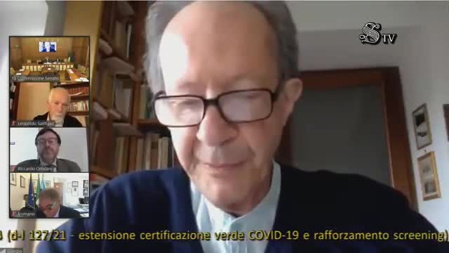 🔴 Giorgio Agamben sul green pass audito in Commissione Affari Costituzionali del Senato.