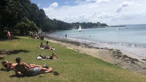 New Zealand Playground with Sea View