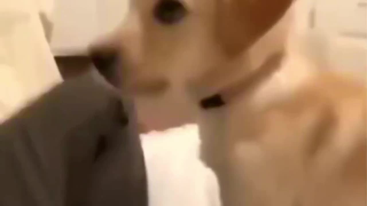 If you laugh you loose