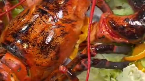 Biggest lobster you will ever see!