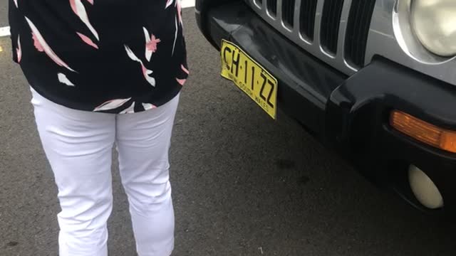 Bird Collides with Cars Two Times