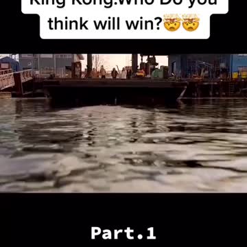 Amazing videos clips