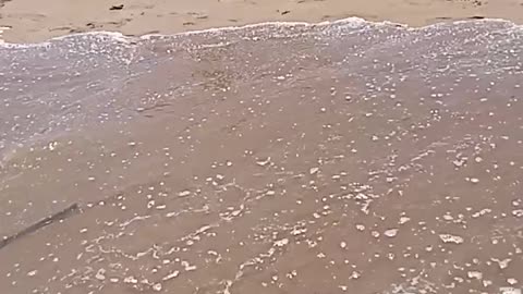 Great sound of waves