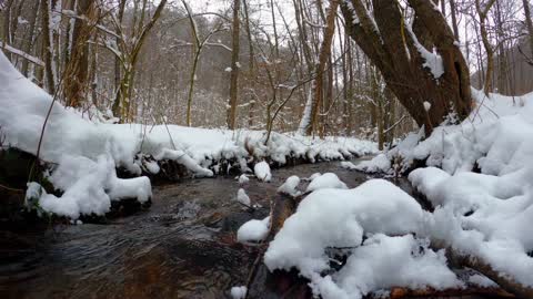 Relax and reduce anxiety with the sounds of nature.