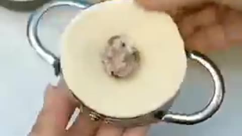 Momos maker