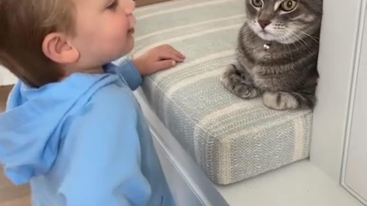 Cat disciplines little boy