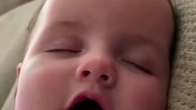 Bola jon