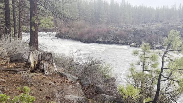 ENJOY the Peace & Quiet of Lava Island & Deschutes River in the Rain – Central Oregon – 4K