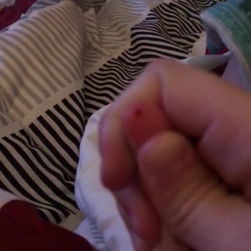 T1D Toddler Warrior!