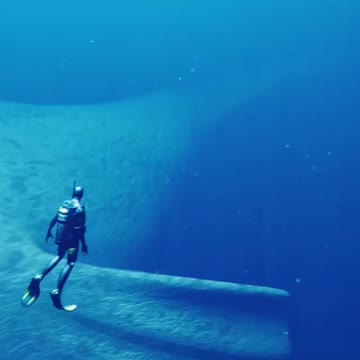 That's one big fish 🐠