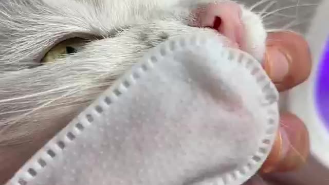 красавчик
