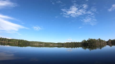 Pond View