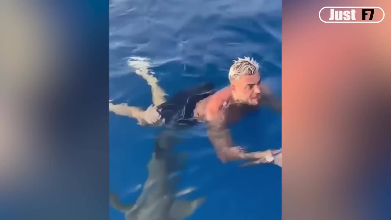 Funny video, fun, laughter, full entertainment