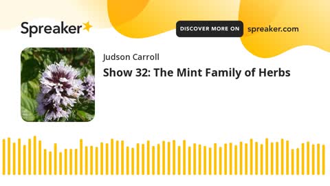 Show 32: The Mint Family of Herbs (part 2 of 3)