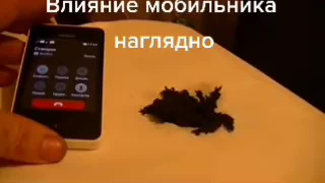GRAPHENE AND CELL PHONE