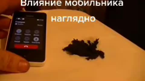 GRAPHENE AND CELL PHONE