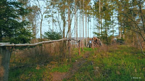 Impulsgarten - impulse garden