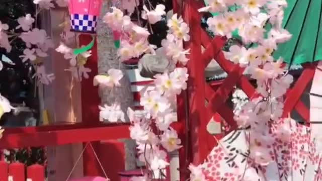 Sakura magic moments Japan