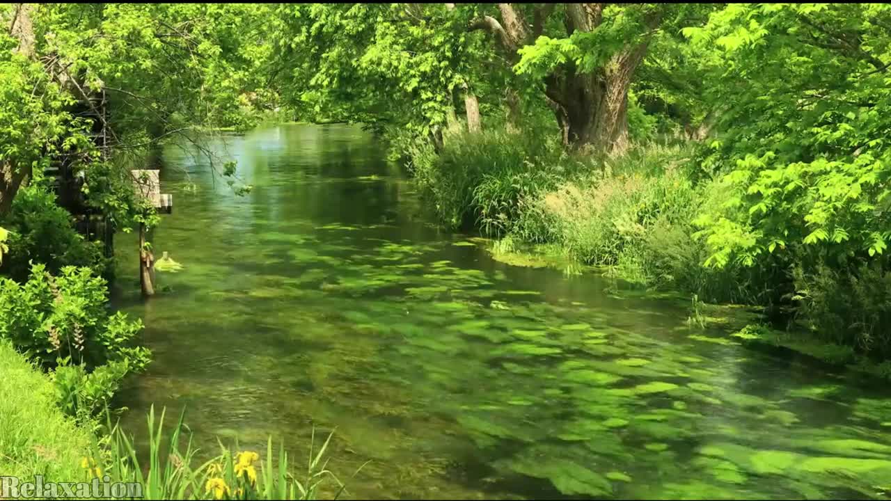 Relaxing Nature Sounds - Waterflow