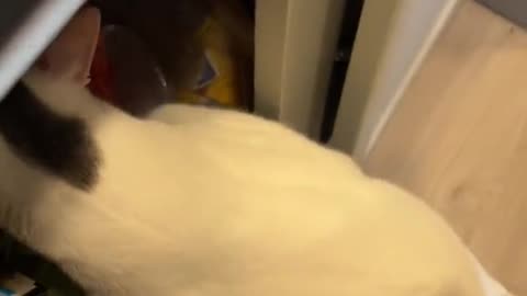 It's so naughty