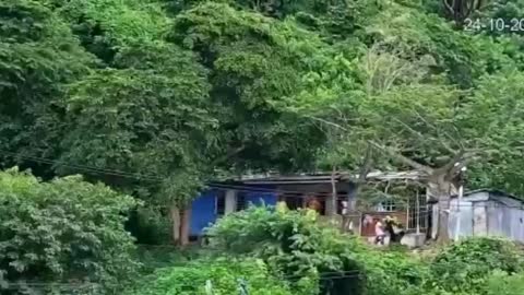 Persecución y capturas hechas por la Policía