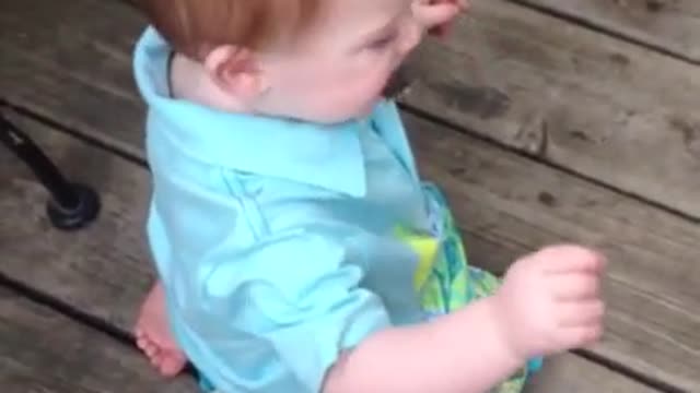 Baby Kills And Eats Butterfly