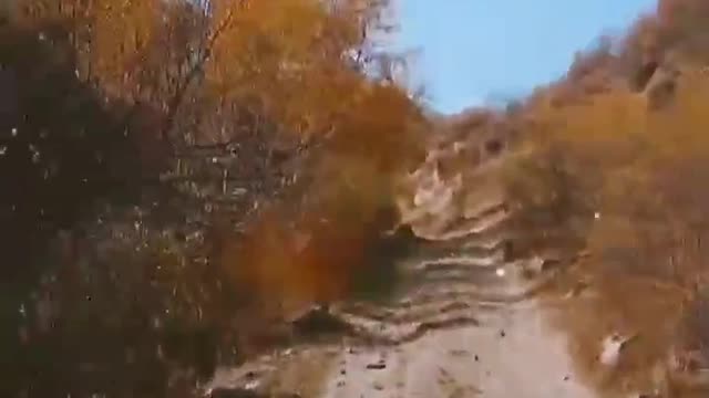 We travel through the mountains by car.