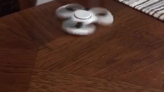 Orange white cat plays with white fidget spinner