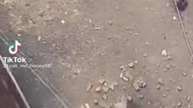 cat entry 😂😂😂🐈🐈😺