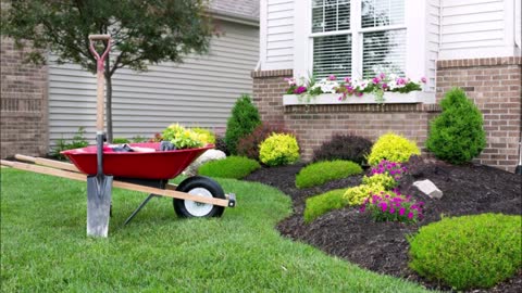 Mateos Landscaping Services - (806) 437-4573