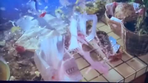 Grand Master Phillip Rhee