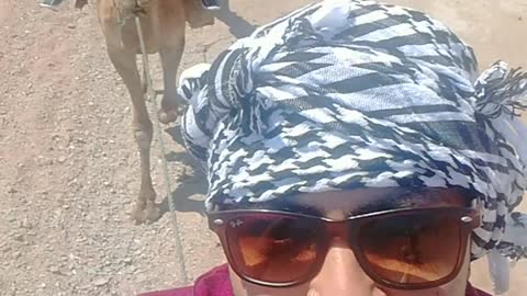 Dahab Camel Riding Adventure