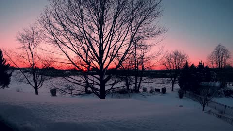 Even winter has its beauty