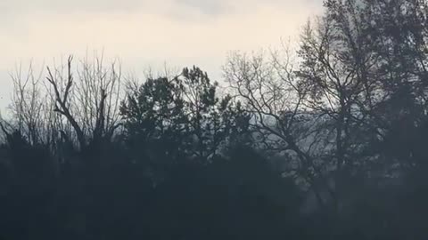 Significant tornado in Sunbright, TN April 2, 2024
