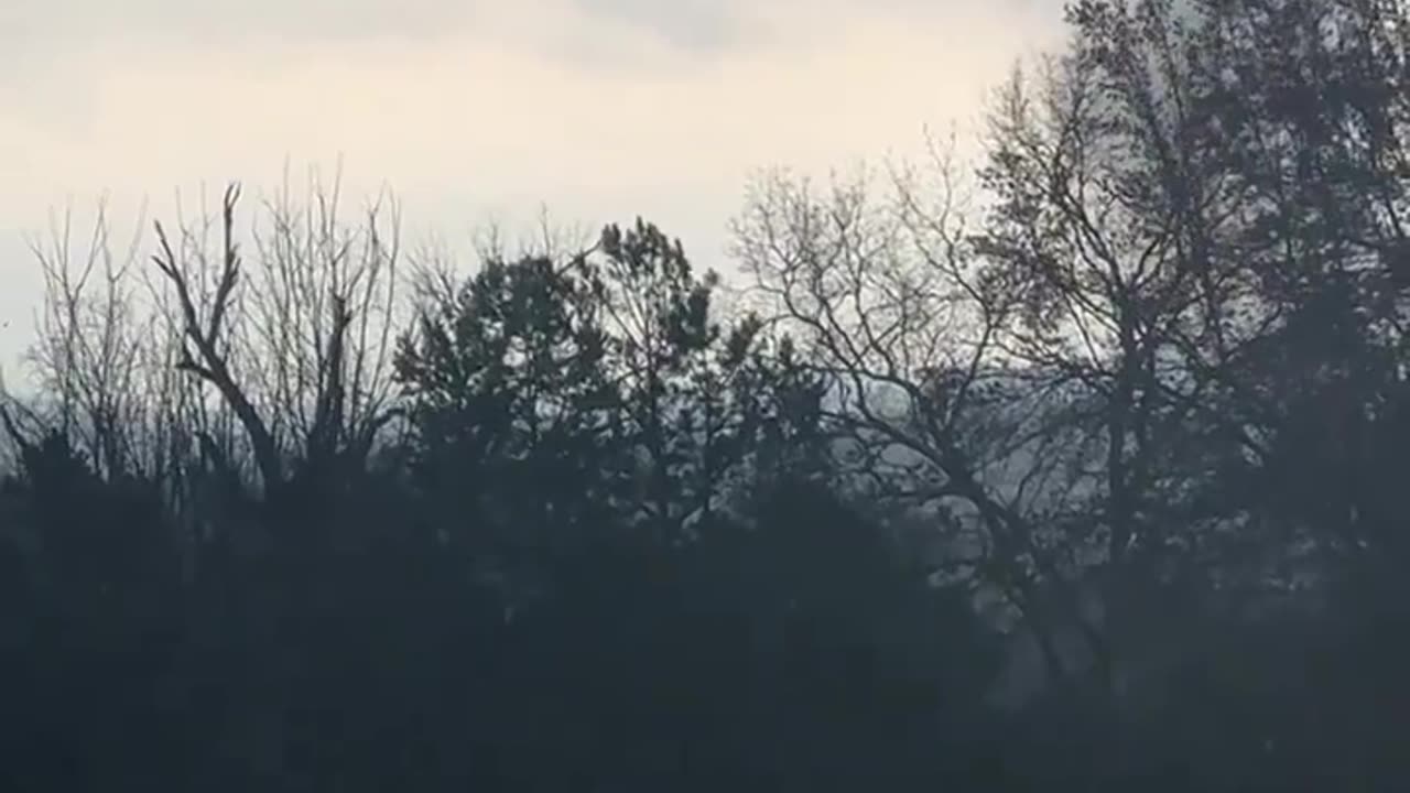 Significant tornado in Sunbright, TN April 2, 2024