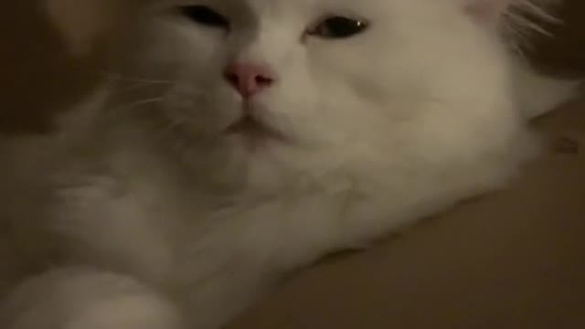 She's too cute for this world