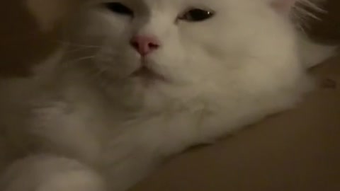 She's too cute for this world