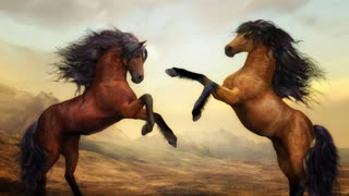 Wild Horse Fight