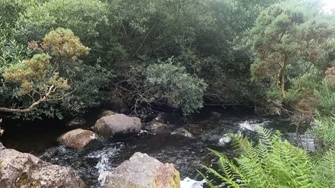 River in the Dartmoor.
