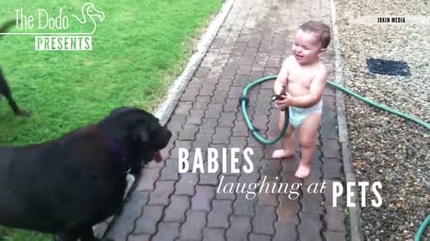 Short baby funyvideo