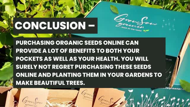 Buy The Greatest Vegetable Seeds In UK