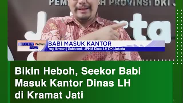 Blkln Heboh, Seekor BablMasuk Kantor Dinas LHdi Kramat Jati