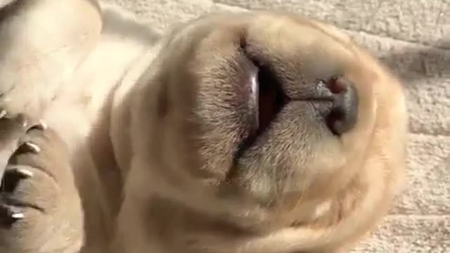 What's going on here