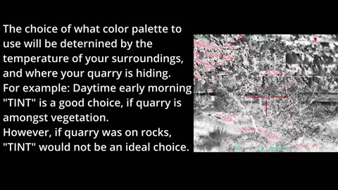 How Do You Choose A Color Palette for a Thermal Rifle Scope?