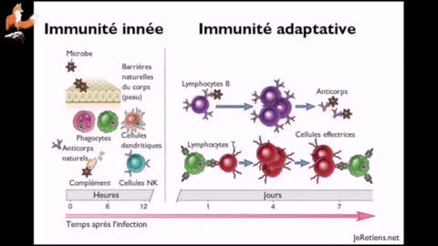 Vaccins Covid-19 = Empoisonnement de masse = Crimes de guerre menés par le Quatrième Reich Nazi!