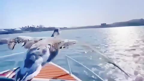 Nature is beautiful, click to be amazed!